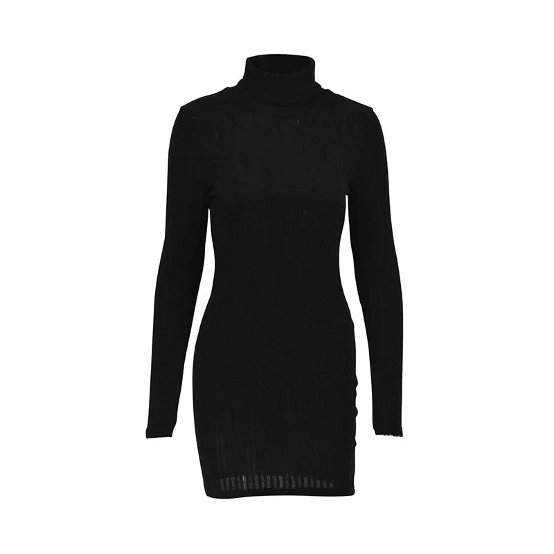 Jennifer® | Ribbed Turtleneck Bodycon Dress